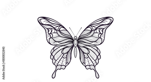 An intricate black and white sketch of a butterfly with detailed wing patterns and a geometric symbol at its center.