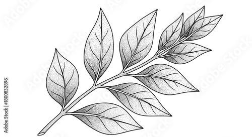 A detailed artistic representation of a delicate branch adorned with numerous vibrant green leaves, showcasing intricate natural patterns and organic forms.