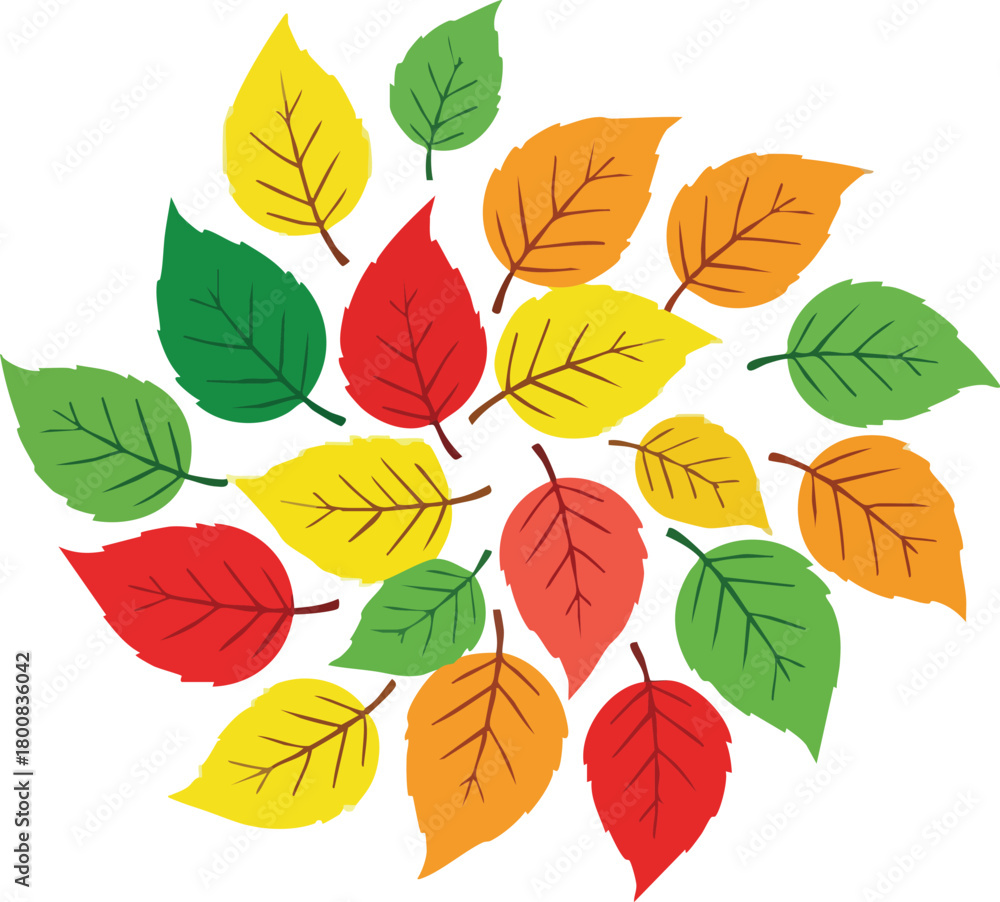 Obraz premium Circular arrangement of autumn leaves in red yellow orange and green colors against a white background