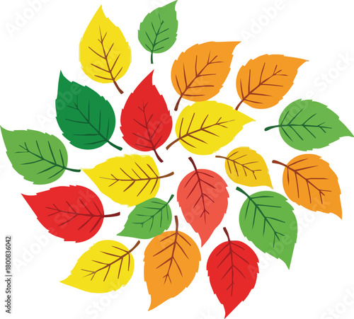 Circular arrangement of autumn leaves in red yellow orange and green colors against a white background
