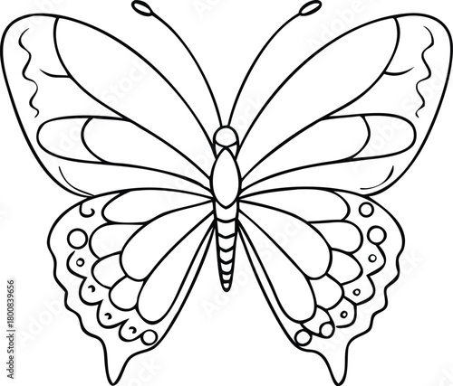 A delicate black and white outline drawing of a butterfly with detailed wings