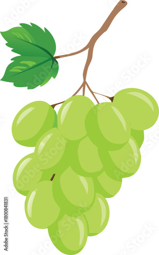 A vibrant cluster of fresh green grapes hangs delicately from a slender stem