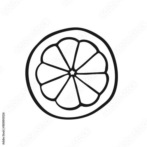 Simple Hand Drawn Citrus Slice Outline