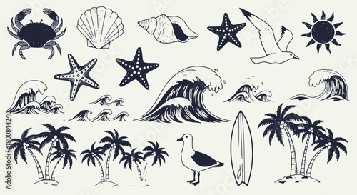 Vintage hand-drawn summer beach and ocean elements set: crab, seashells, starfish, seagulls, palm trees, waves, sun, and surfboard vector collection