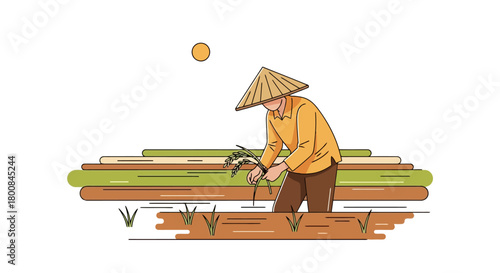 Asian Farmer Planting Rice Seedlings in a Field Under the Sun Traditional Agriculture Illustration