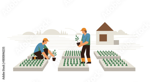 Farmers Planting Seedlings in a Garden Nursery Sustainable Agriculture Concept