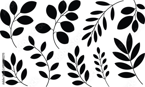 Various black botanical leaf and branch silhouettes vector illustration set on white background