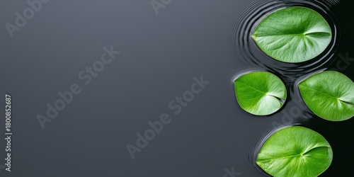 Wellness meditation detox concept. Serene water lily leaves floating on calm water with gentle ripples.