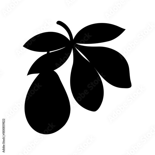 vector illustration of a green olives
