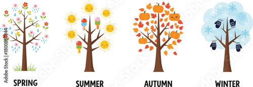 Four seasons tree illustration showing spring, summer, autumn and winter with flowers, sun, pumpkins, snowflakes, vector design for education