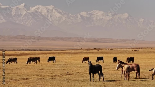 Kyrgystan (Sary Tash) | Drone 4K