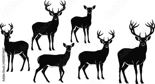 Deer silhouette vector set with antlers and standing poses, wildlife animal icons for forest, nature, hunting, and design use