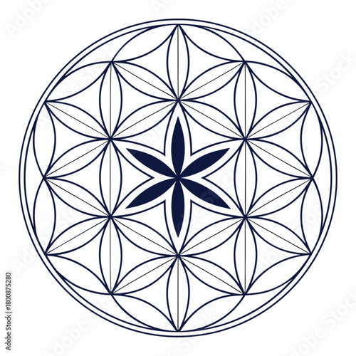 Flower of life symbol isolated on, sacred geometry pattern, spiritual art, mystical design, vector illustration, geometric shape, ancient symbol