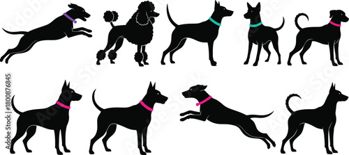 Dog silhouette vector set with colorful collars, various breeds, playful poses, pet icons for loyalty, animation, and animal design themes