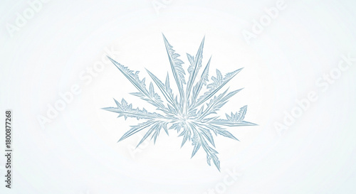 A delicate snowflake with unique patterns, isolated on, capturing the beauty of winter and the intricate details of natures artistry