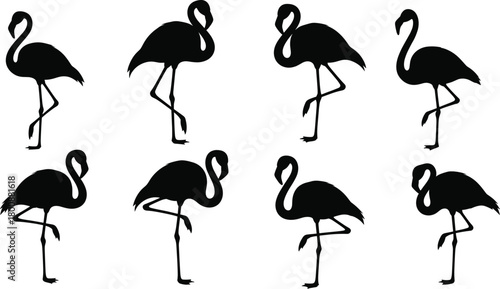 Flamingo silhouette vector set featuring graceful bird poses with long legs and curved necks for tropical nature illustration and design elements