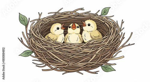 nest with eggs