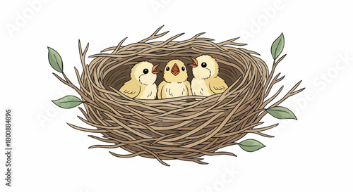 chick in nest