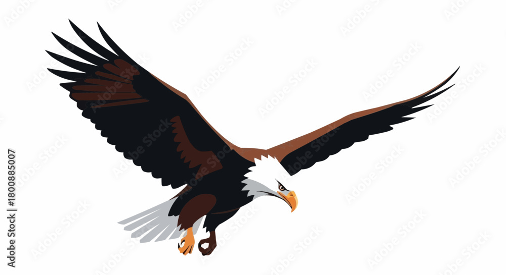 Obraz premium eagle in flight