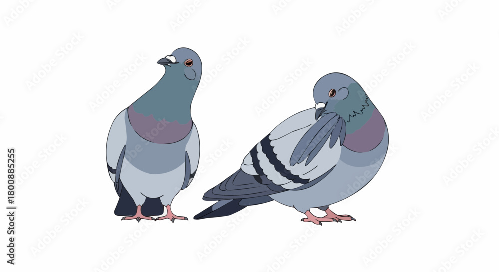 Obraz premium two birds on a branch