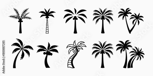 Collection of diverse black silhouette palm tree icons representing tropical vacation and summer themes