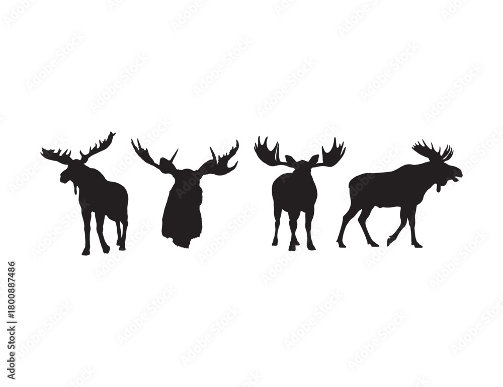 Fototapeta premium Moose Silhouette Vector Set – Wildlife Animal Shapes on White Background