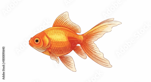goldfish isolated on white