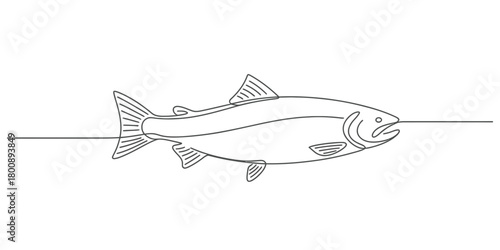 Continuous line drawing of a fish, depicting a stylized salmon or trout profile with dynamic flow. minimalist modern single line art illustration concept.