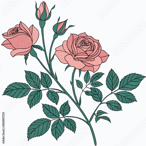 A beautiful vector illustration of a rose branch, featuring delicate pink roses, lush green leaves, and unopened buds, isolated on, creating a serene and elegant floral design