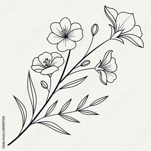 Elegant line art illustration of a flowering flax branch, showcasing delicate petals, buds, and leaves in a botanical style isolated on