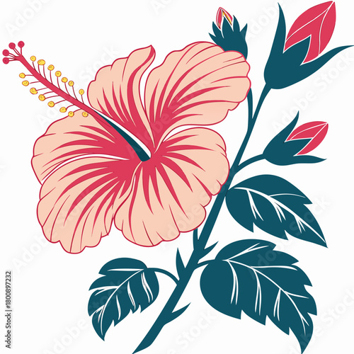 A vibrant vector illustration of a hibiscus flower branch, showcasing a striking pink hibiscus bloom, lush green leaves, and unopened buds, isolated on, creating a tropical and exotic floral design