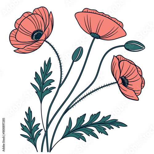 A vibrant line art illustration showcases a cluster of poppies with rich colors and intricate details, creating a lively and eyecatching composition, isolated on