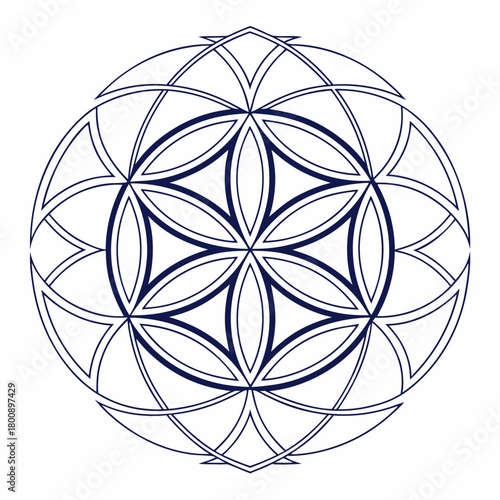 Geometric flower of life pattern isolated on, a sacred geometry symbol with interconnected circles, representing unity and the source of all creation