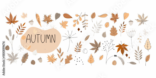 Autumn season illustration with hand drawn leaves acorns and branches in warm earthy tones