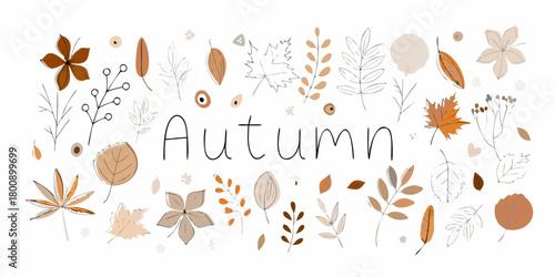 Hand drawn autumn leaves and branches forming a decorative border around the word autumn
