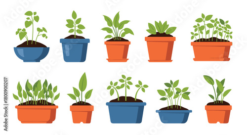 A vibrant collection of potted green plants and seedlings, showcasing various stages of growth and popular indoor gardening essentials.