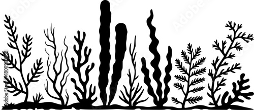 Black Silhouette of Various Seaweed and Underwater Plants