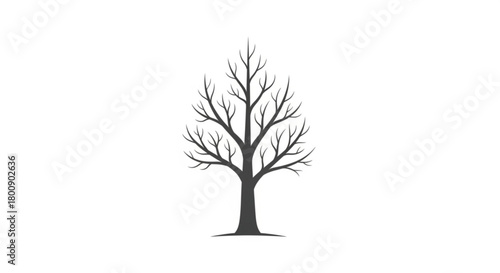Bare tree silhouette vector illustration for autumn winter design and nature related projects graphic element