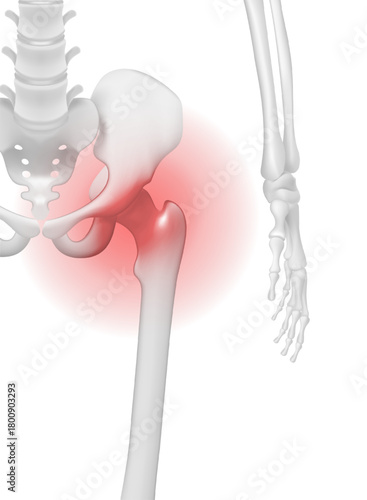 medical illustration human hip joint highlighting pain with a red glowing area Skeleton renderedbackground Concepts pain inflammation or orthopedic injury