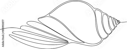 Minimalist Single Line Drawing of a Seashell on White Background