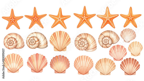 A vibrant collection of orange starfish and assorted seashells, including scallops and conches, isolated on a transparent background.