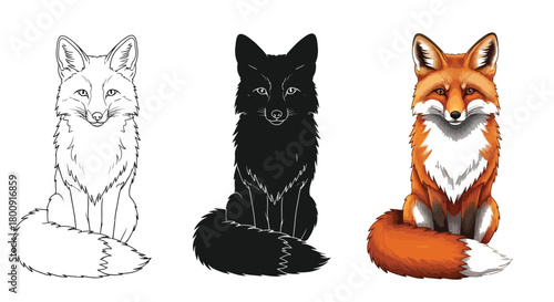 Three fox illustrations, one in outline, one in silhouette, and one in color