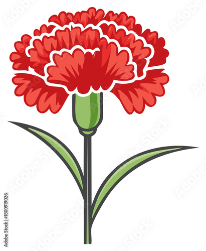 A vibrant red carnation with stylized petals and green leaves stands gracefully, creating a heartwarming floral design and illustration.