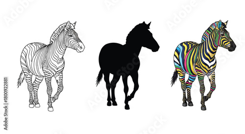 A zebra in three different styles line art, silhouette, and colorful