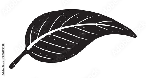 Bold black and white linocut style illustration of a single botanical leaf with carved out veins, isolated on a plain background for a simple, organic, and natural design