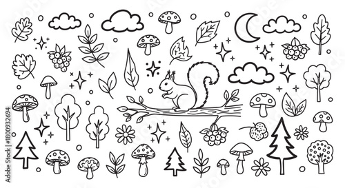 Charming hand-drawn woodland elements including a cute squirrel, forest trees, mushrooms, and leaves, illustrated in a whimsical black outline style on a simple background