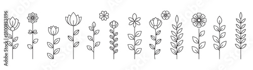 A collection of minimalist black line art flowers and botanical plants with stems and leaves, a simple and elegant vector icon set of floral elements isolated on a white background