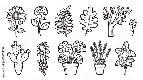 A diverse collection of plant and flower line art illustrations, including a sunflower, rose, cactus, and potted monstera, presented in a simple black and white outline style