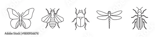 A diverse set of five insect icons including a butterfly, bee, beetle, dragonfly, and termite, illustrated in a clean, minimalist black line art style on a white background