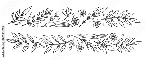 Elegant collection of hand-drawn floral and botanical elements, including leaves and flowers, arranged as a decorative horizontal border in a simple black and white line art style